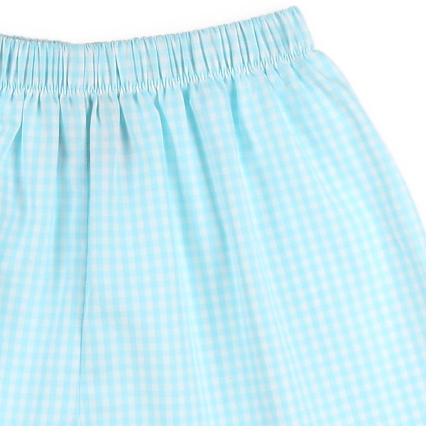 Aqua Check Rhett Shorts