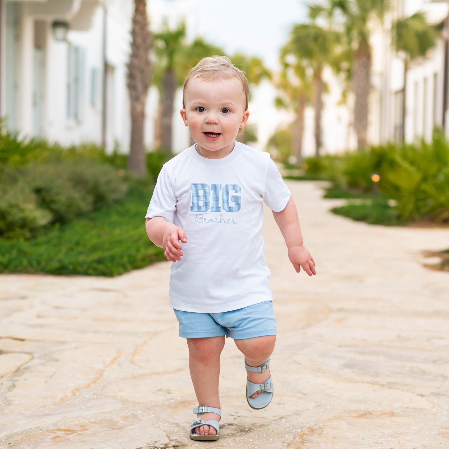 Boys T Shirt - Big Brother