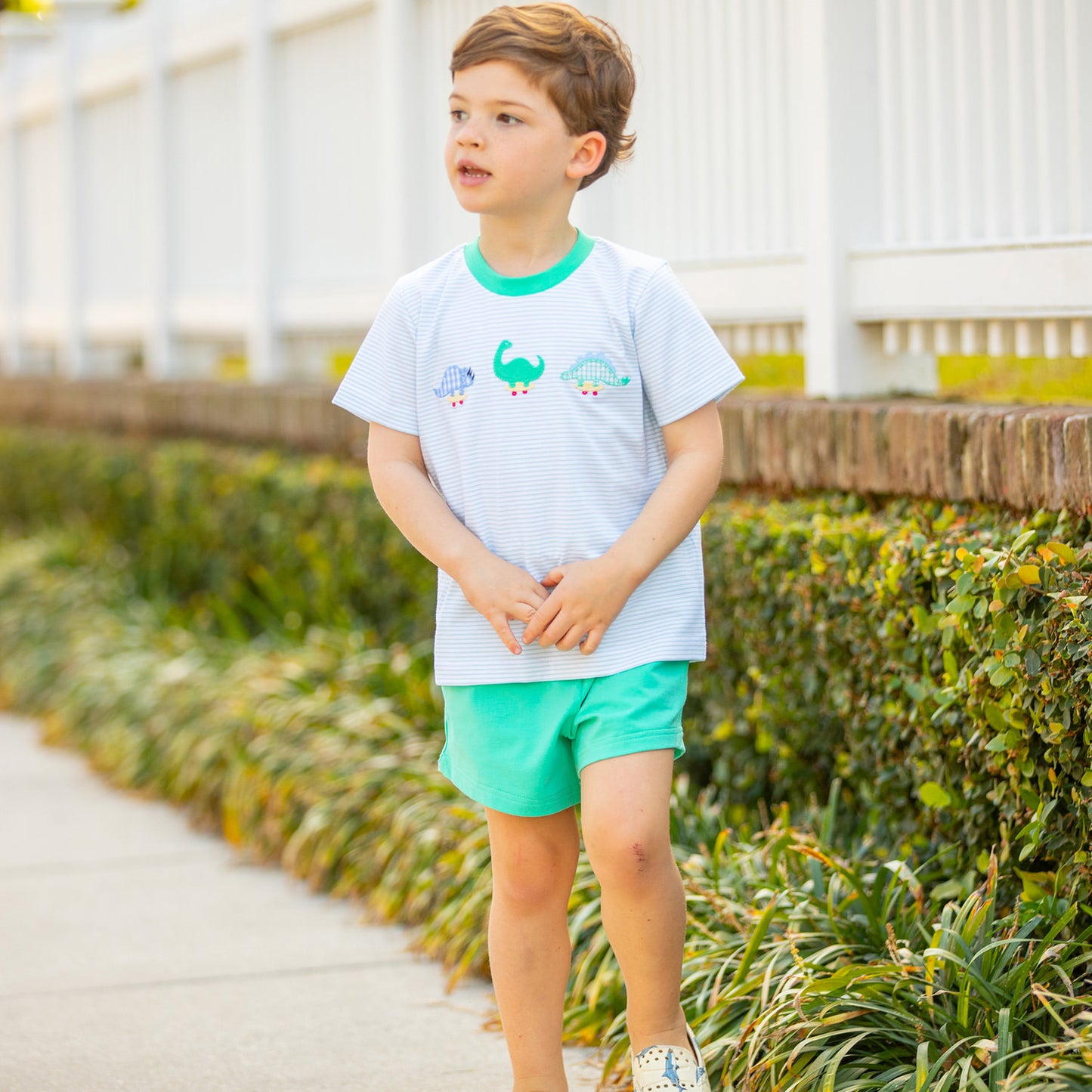 Boys Applique Shirt - Dino Dudes