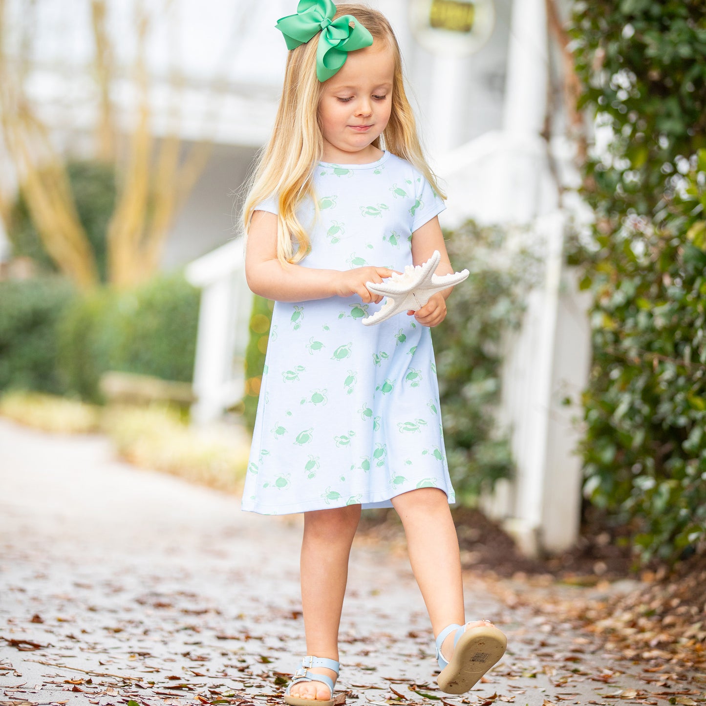 Turtle Pima Play Dress