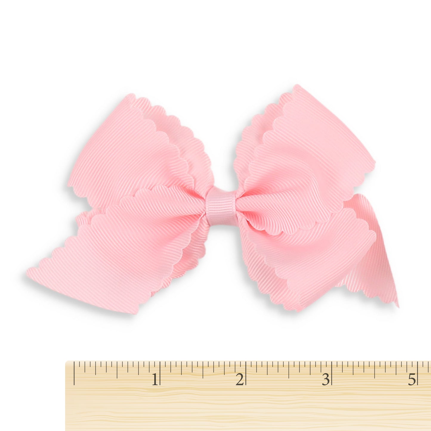 Blush Scallop Bow