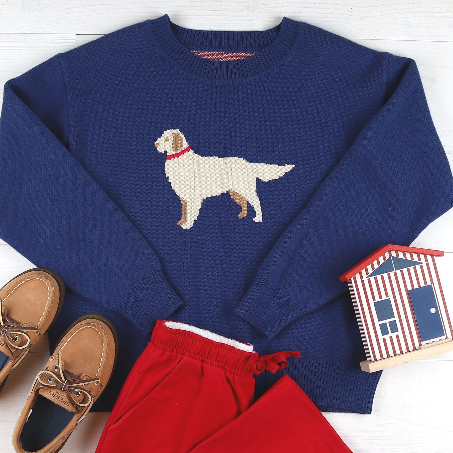 Golden Dog Boys Sweater - Golden Dog Boy Sweater Solo