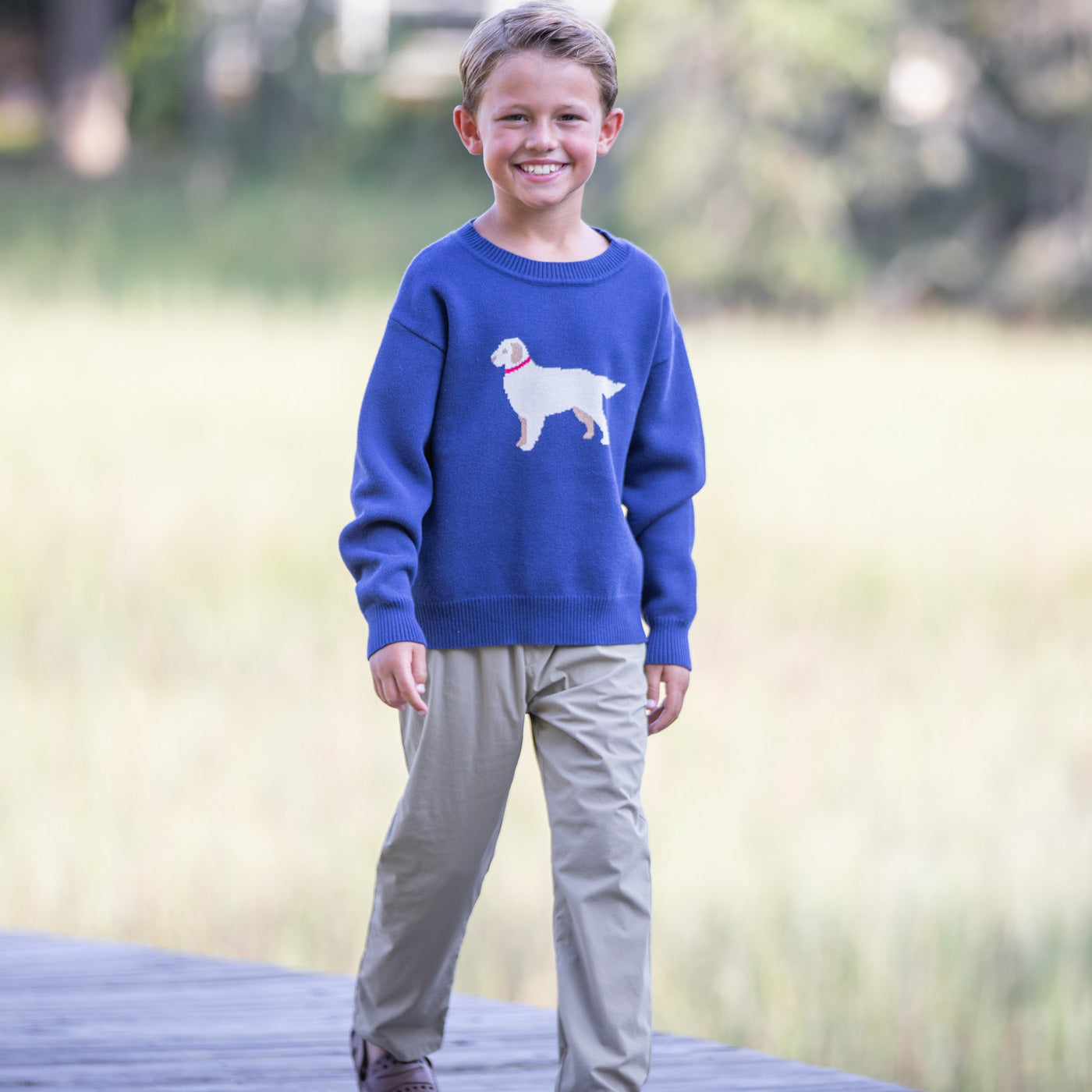 Golden Dog Boys Sweater boys