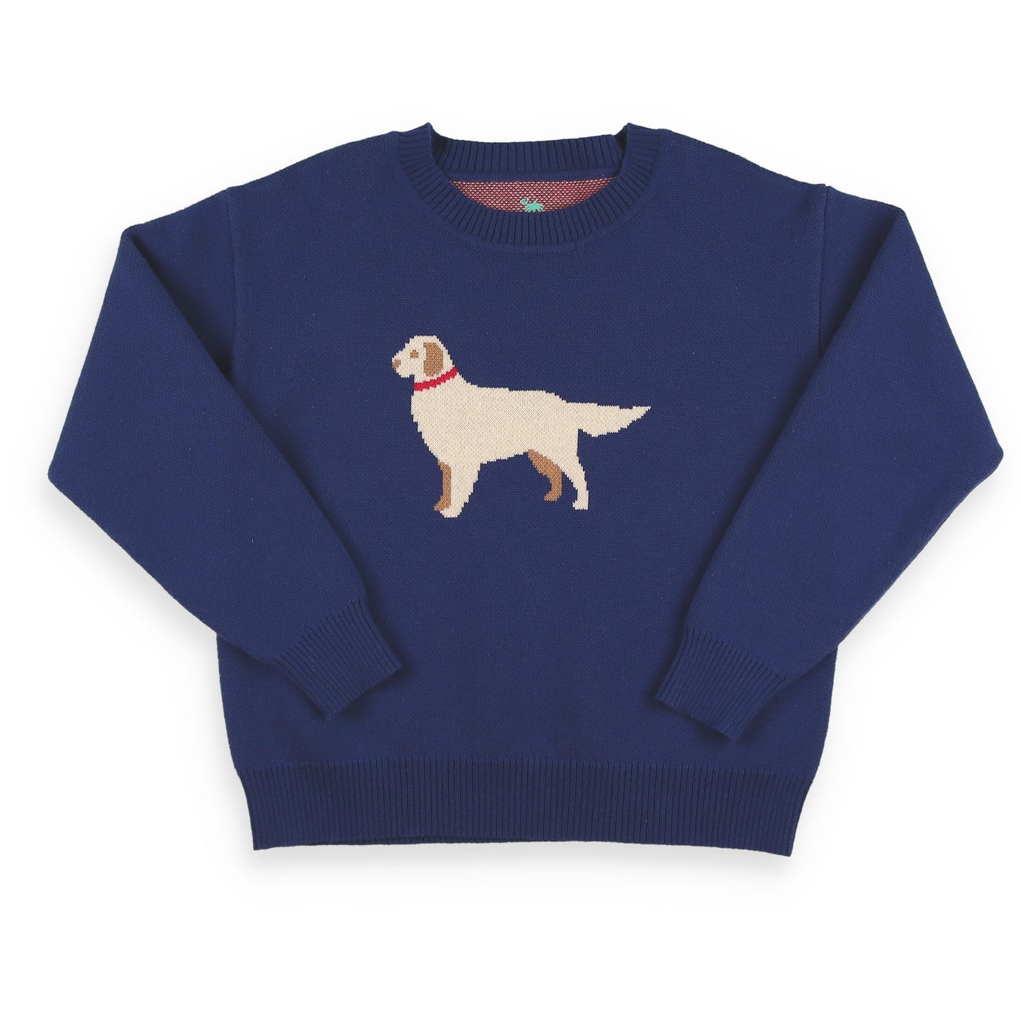 Golden Dog Boys Sweater