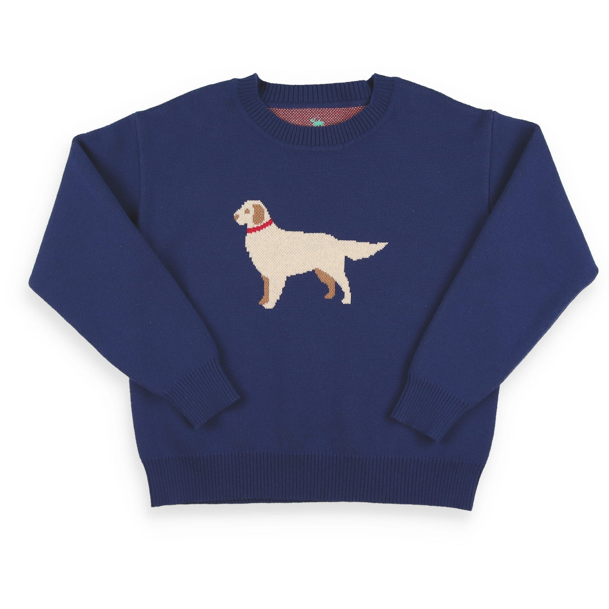 Golden Dog Boys Sweater