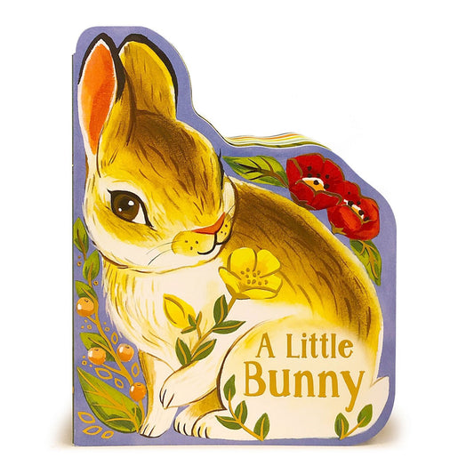 A Little Bunny Board Book