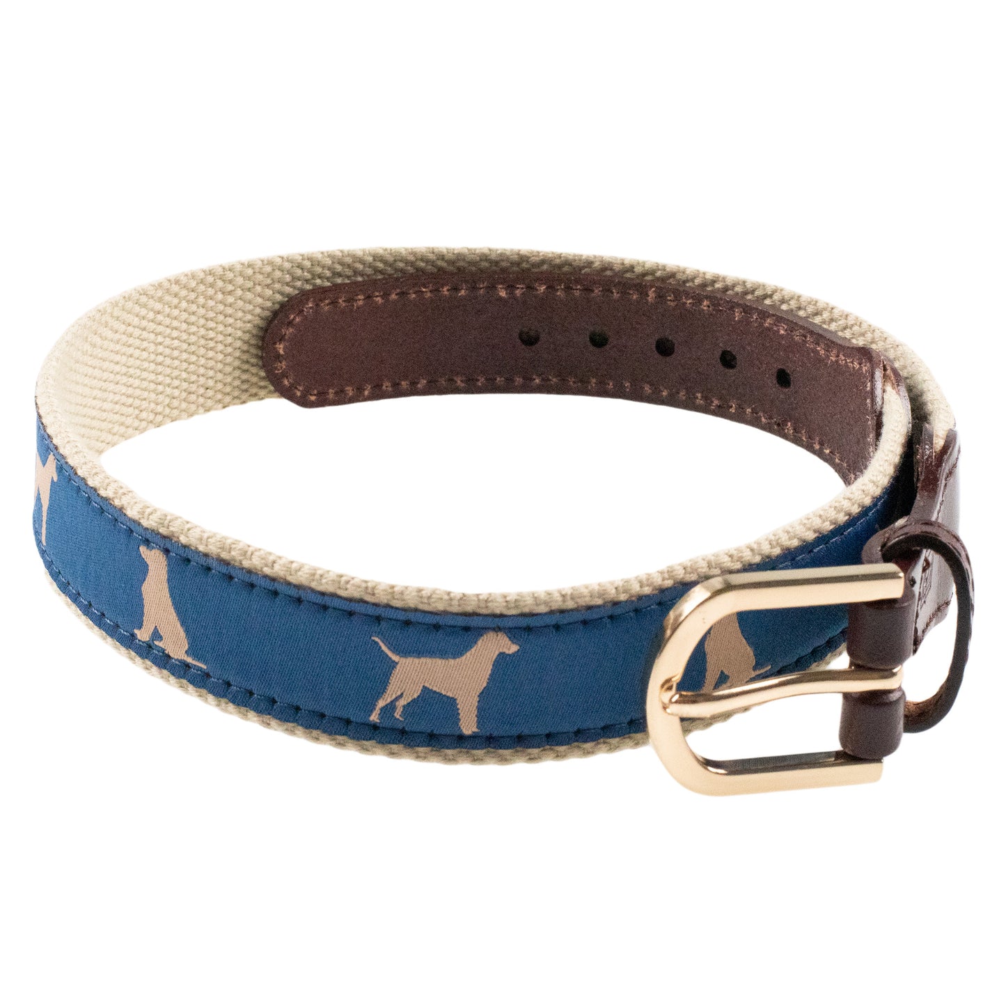 Labrador Belt