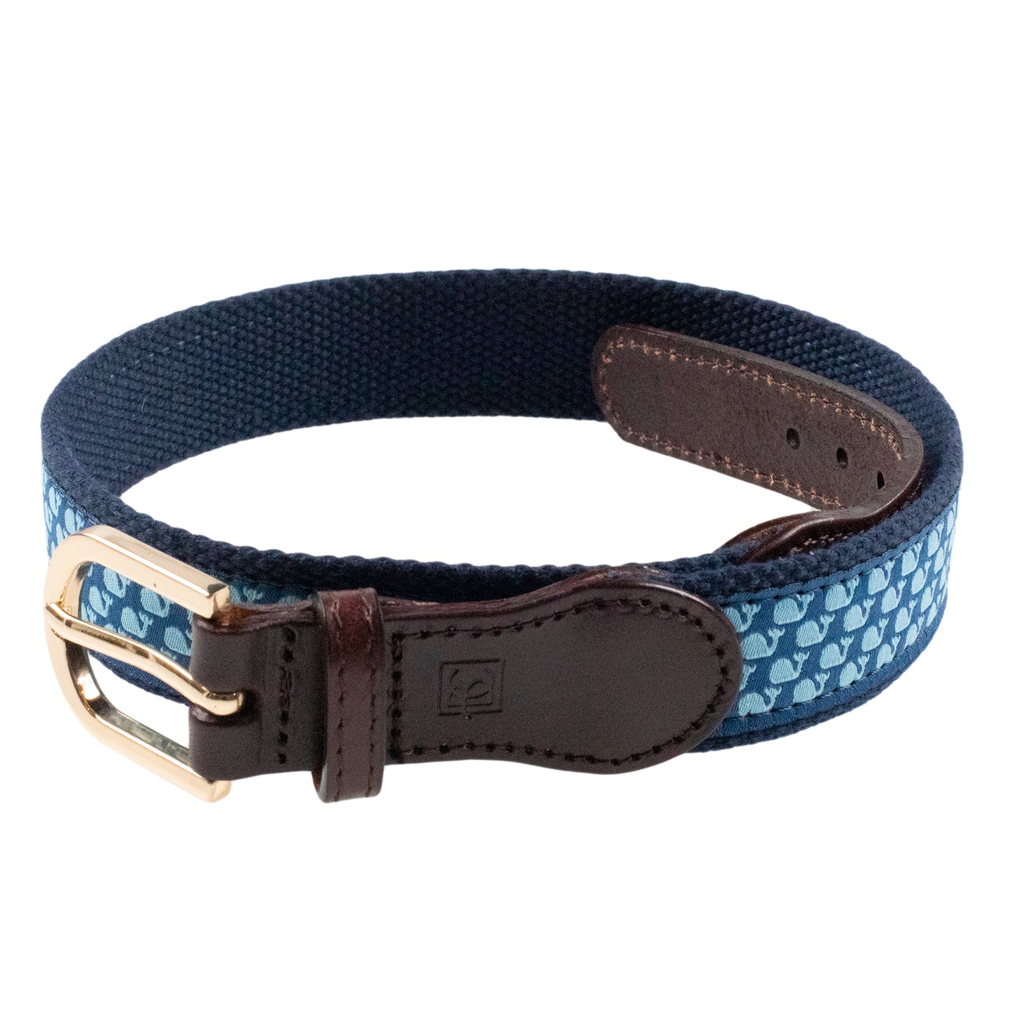 Light Blue Whale Belt