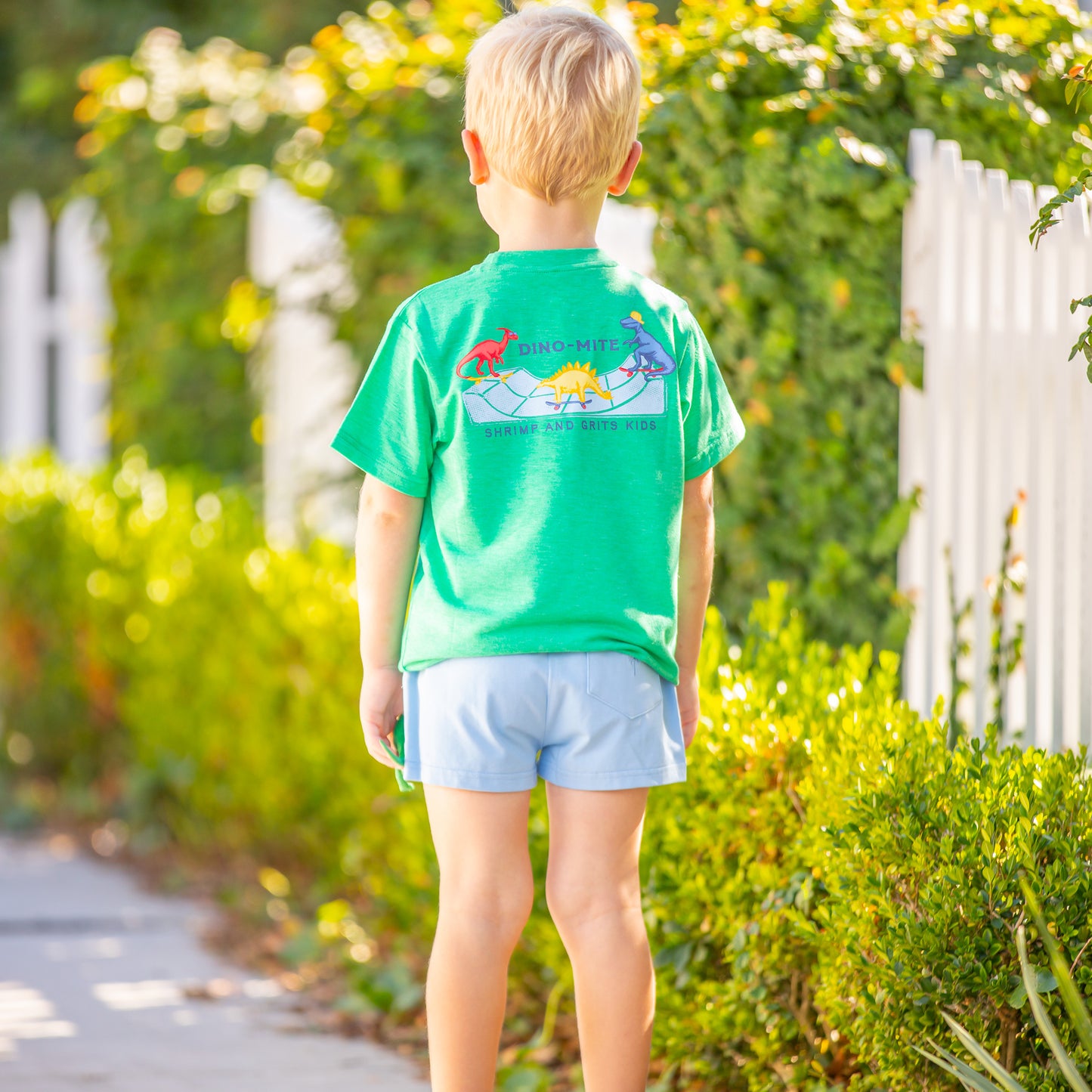 Boys Graphic Tee - Dino-mite