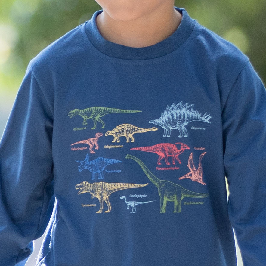 Close-up of Dinosaur Graphic Tee Close