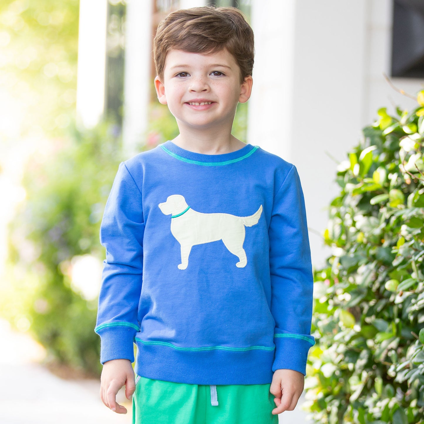 Boys Blue Sweatshirt - Dog