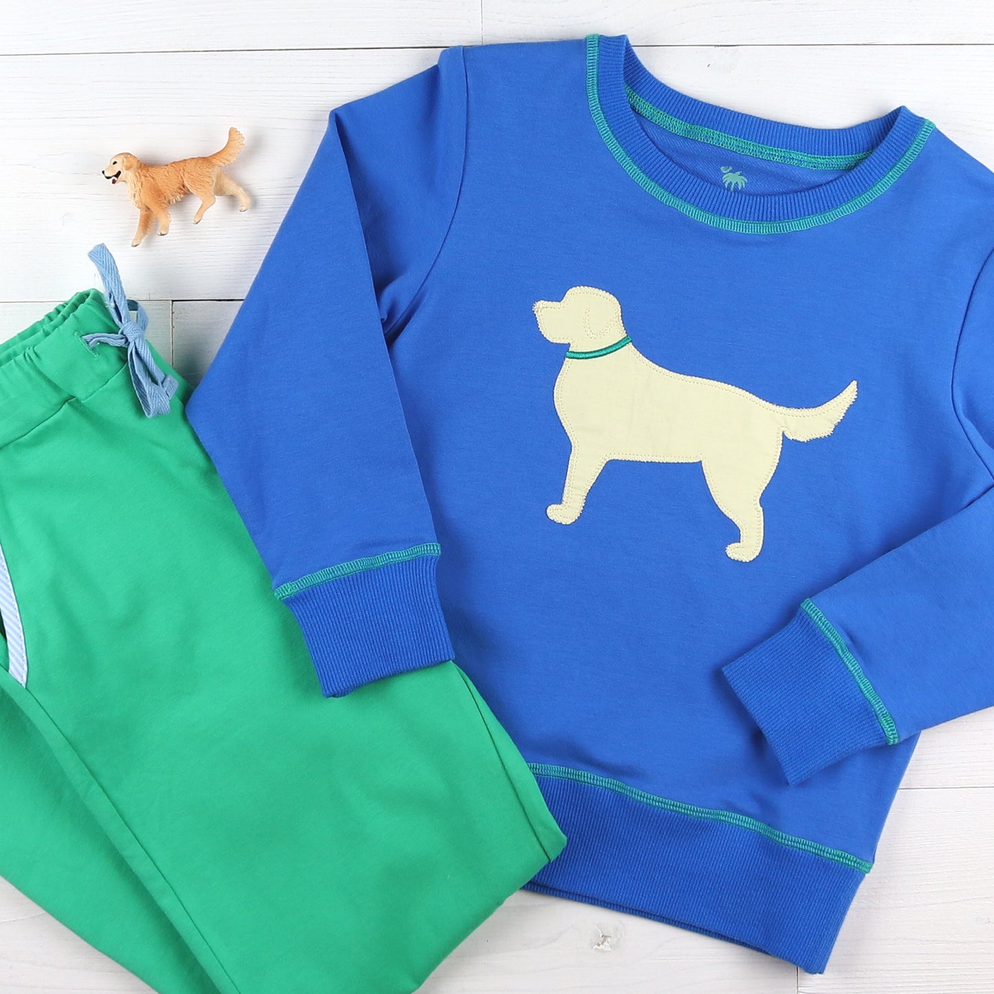 Boys Blue Sweatshirt - Dog