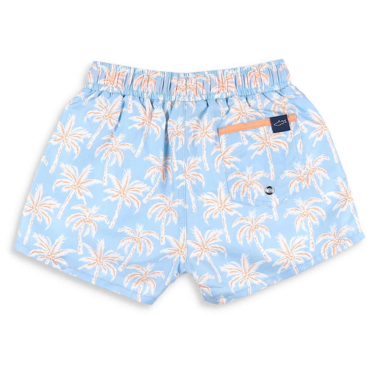 Palm Banded Boardies
