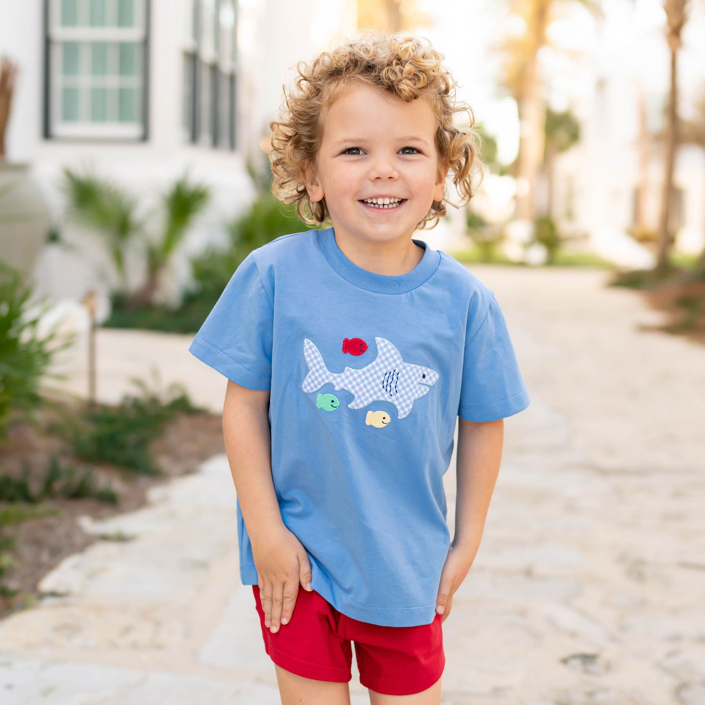 Boys Applique T Shirt - Shark Bait