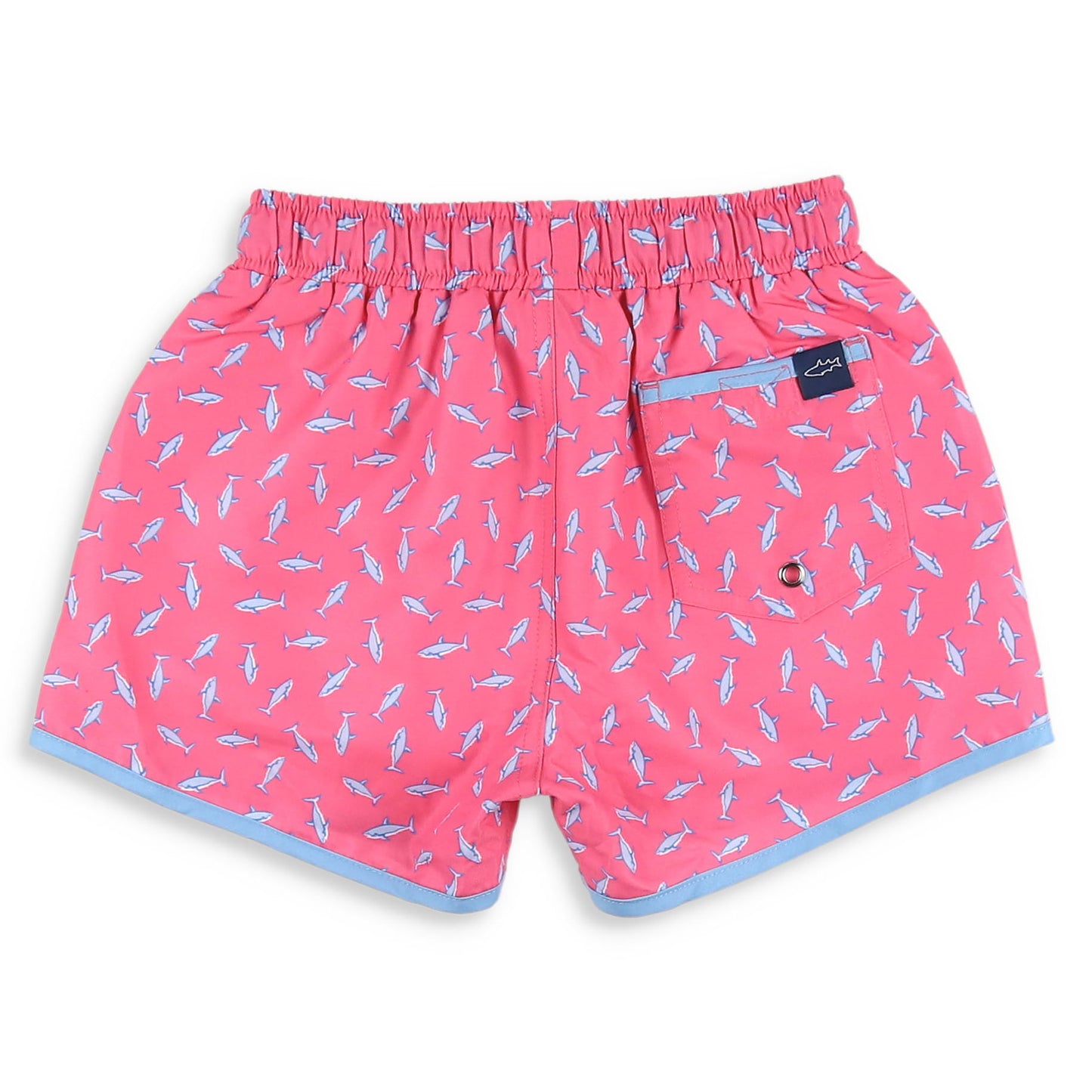 Shark Banded Boardies