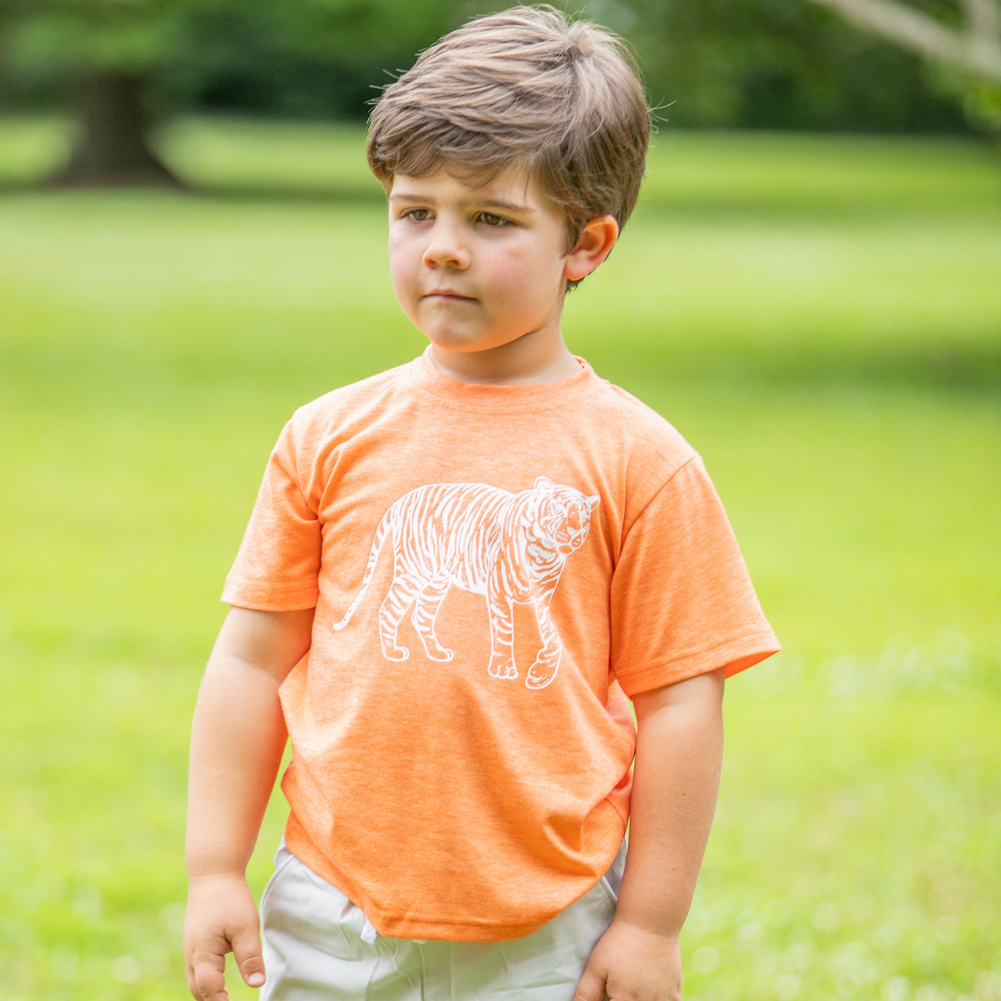 Boys Tiger Graphic Tee Shrimp and Grits Kids