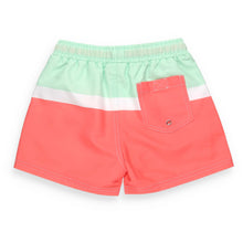 Load image into Gallery viewer, Sorbet Swim Boardies back view